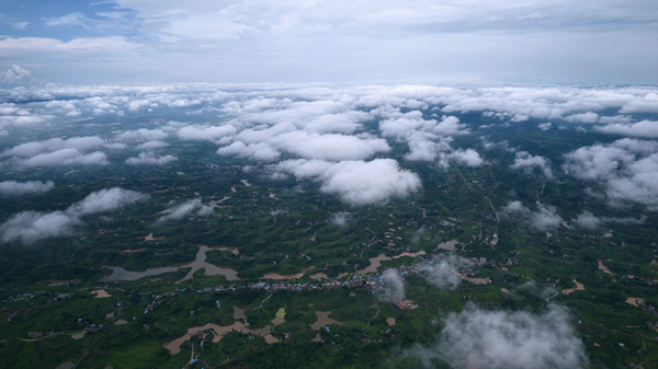 街道全景。李渡街道供圖