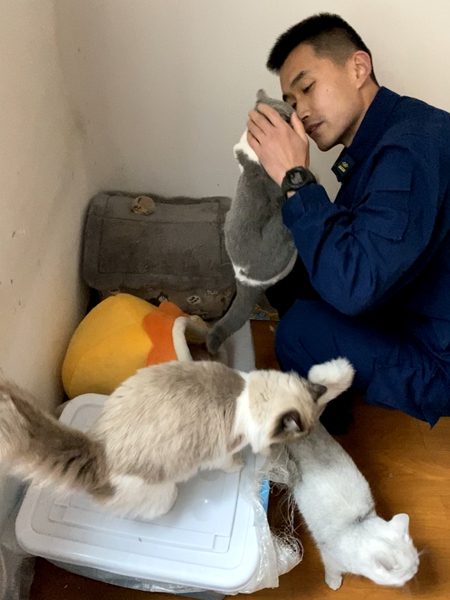 萬惠文同志生前收養的3只流浪貓。