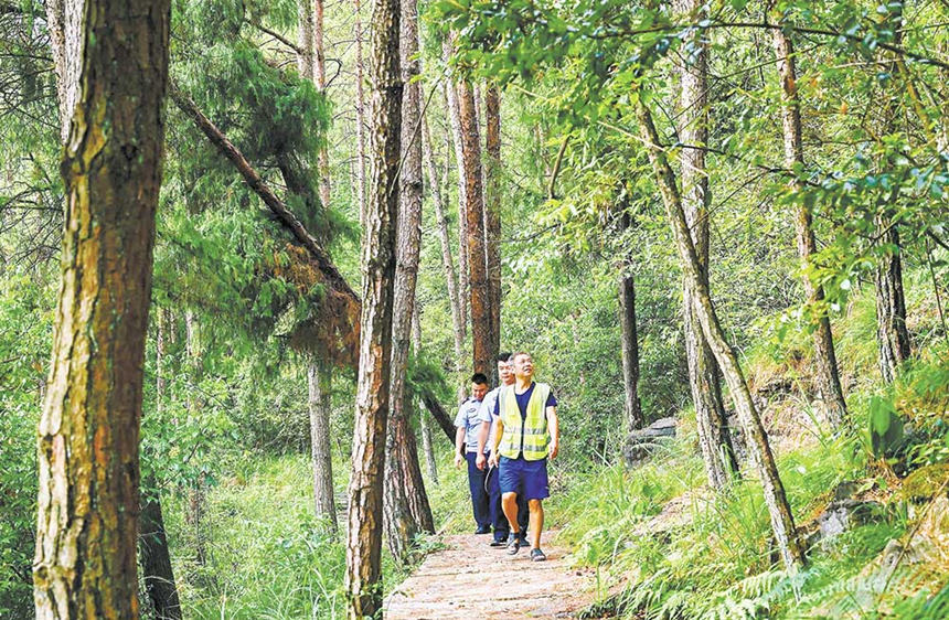 8月16日，在酉陽桃花源國家森林公園，護林員在巡山護林，嚴防森林火災。通訊員 邱洪斌 攝/視覺重慶