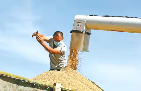 卸糧裝車。廣安市委宣傳部供圖