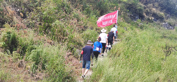 武隆區政府辦公室幫扶集團黨員干部突擊隊開展森林防火巡山工作。黃琴攝