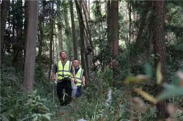 東山林場護林員開展森林巡查工作。梁平區融媒體中心供圖