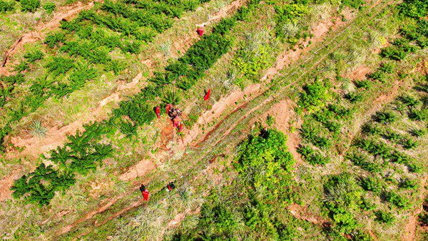 “頭號工程”鉆井施工。西南物探分公司鉆井工程中心供圖