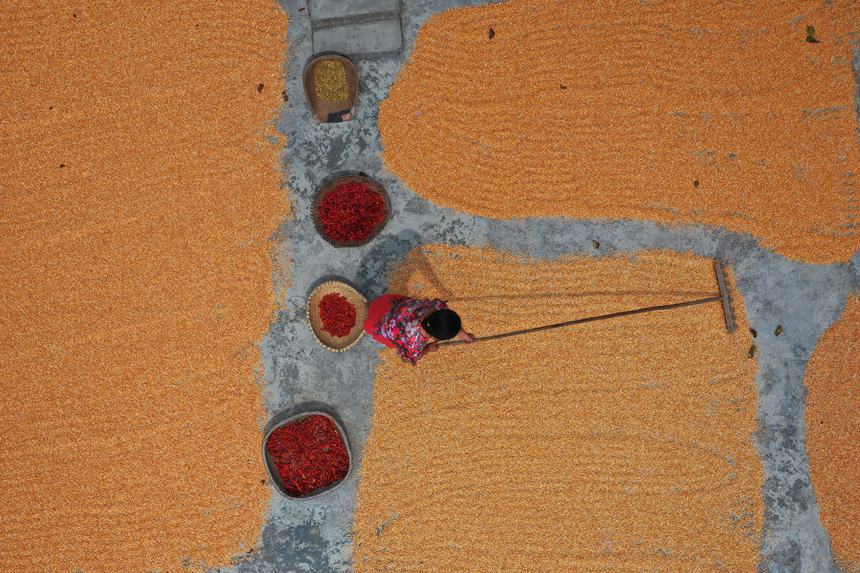 村民正在晾曬糧食。趙勇攝