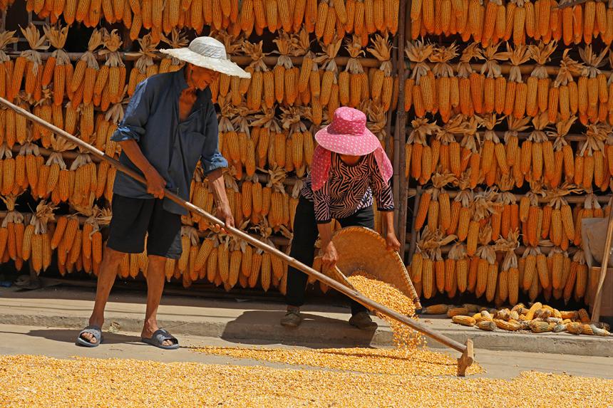 村民正在晾曬糧食。趙勇攝