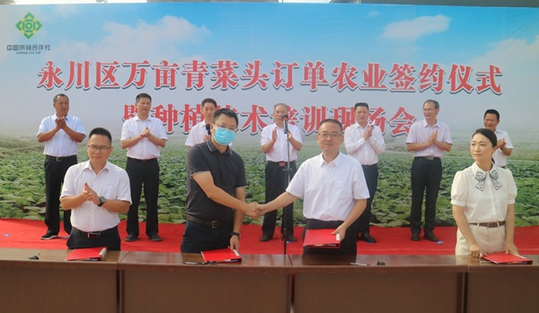 簽訂訂單?！按宕逋惫﹫D