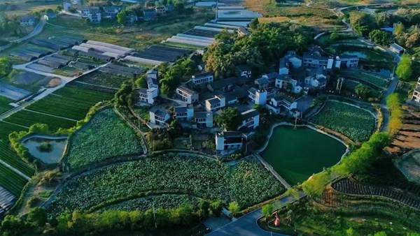 鄉村美景。璧山區委宣傳部供圖