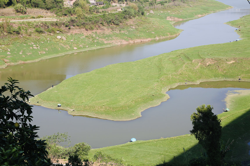 長江支流梨香溪兩岸長滿了綠油油的嫩草。楊孝永攝