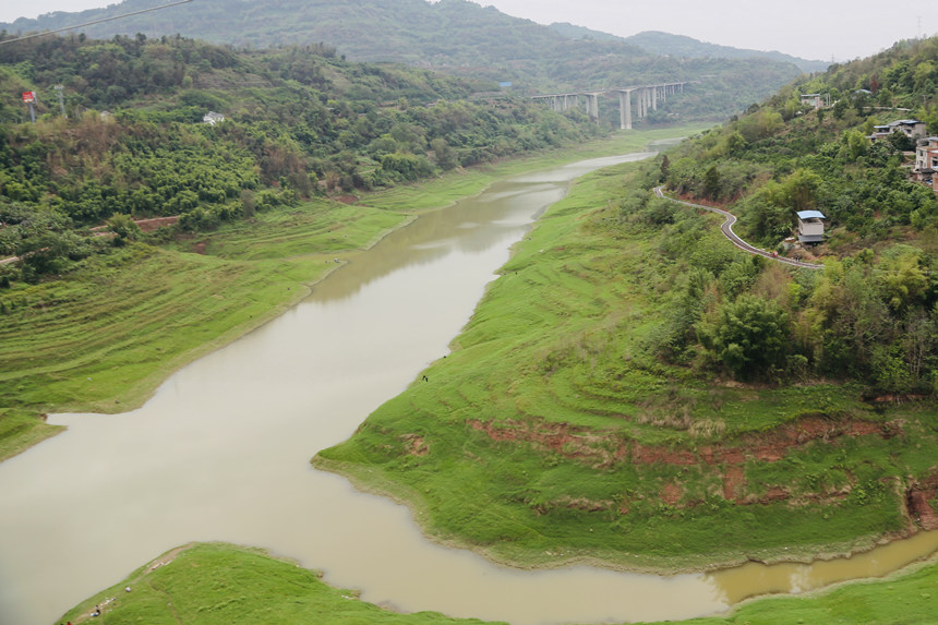 長江支流梨香溪兩岸長滿了綠油油的嫩草。楊孝永攝