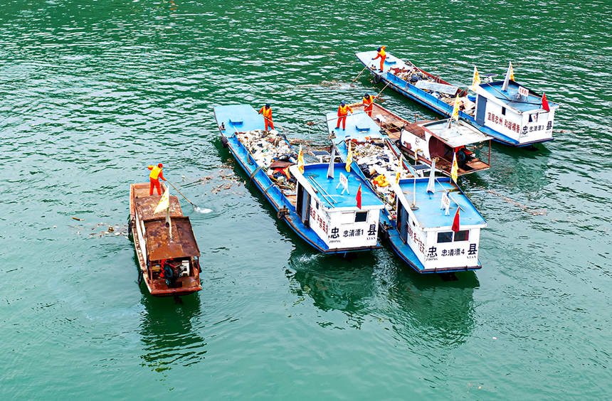 清漂隊員集中清漂。余鴻攝