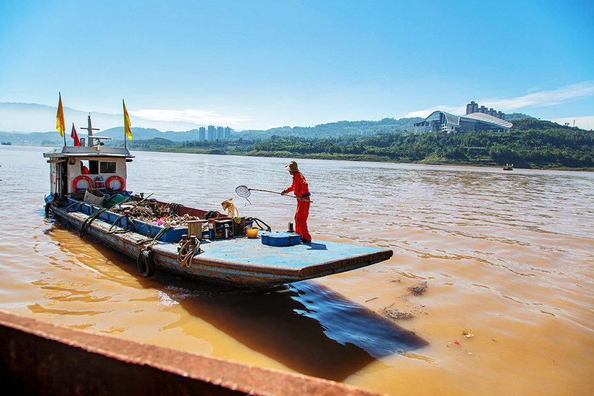 清漂工人在打撈江中漂浮物。余鴻攝