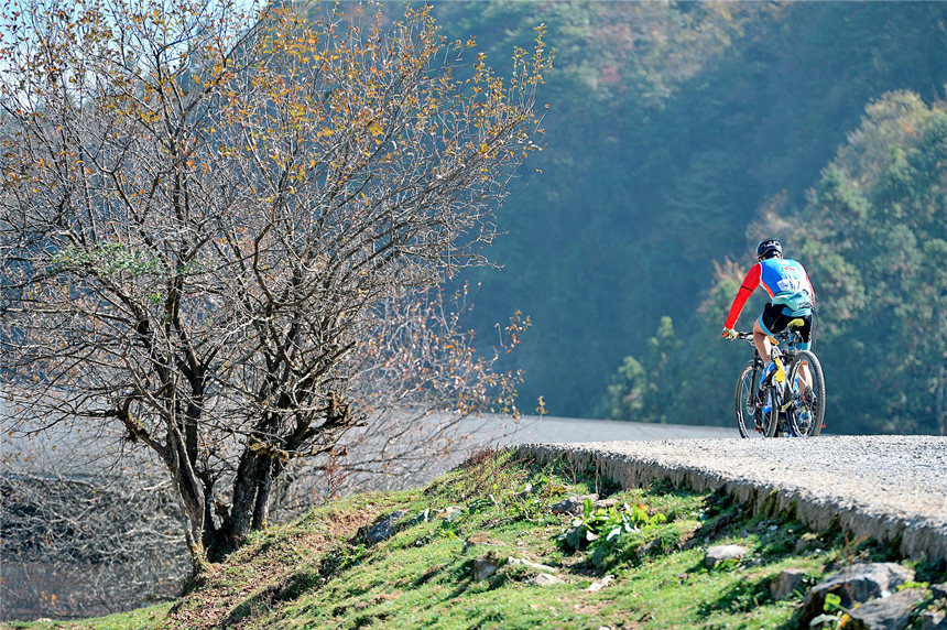 運動員在比賽中。