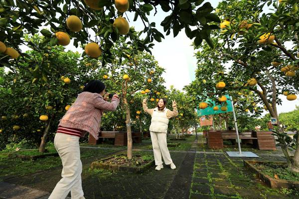市民在中華·梁平柚海游玩。向成國 攝