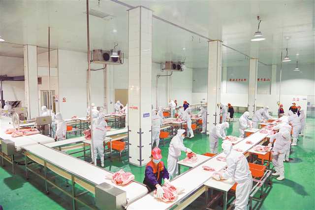 重慶琪金集團定點屠宰廠，工作人員正在對豬肉進行分裝打包。（受訪者供圖）