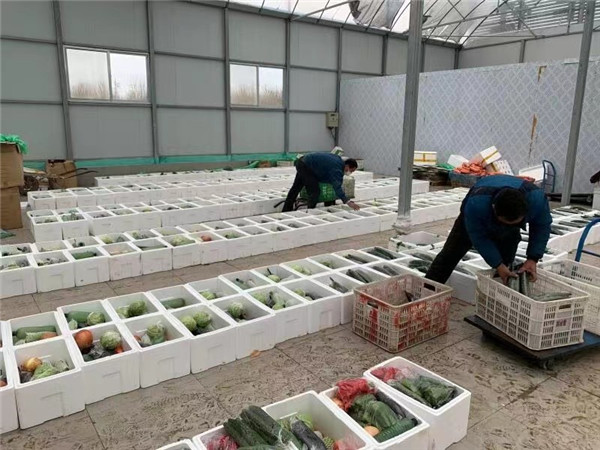 工作人員正在進行蔬菜分揀。京東供圖