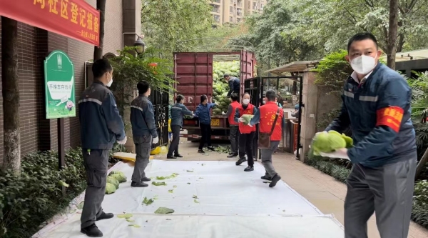 志愿者們有序將愛心蔬菜分揀、打包。南岸區委宣傳部供圖