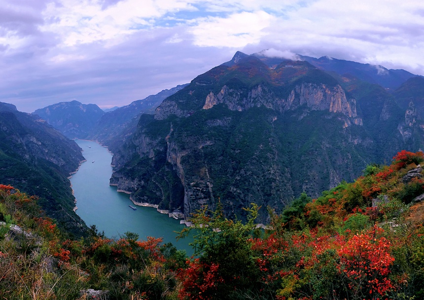 巫山紅葉進入最佳觀賞期。盧先慶攝
