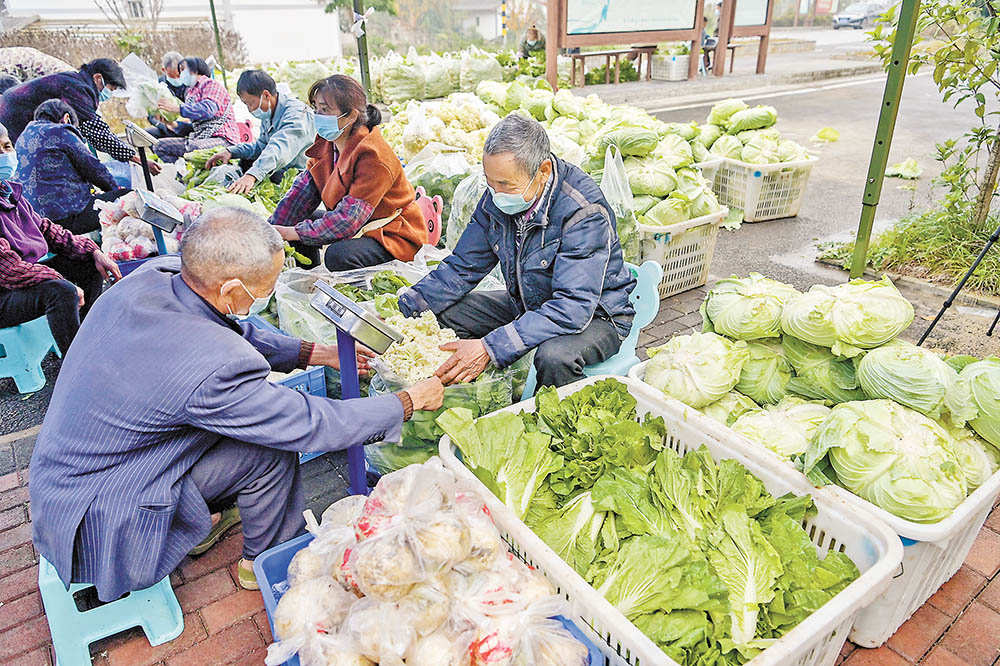 分揀 11月23日，天險洞村蔬菜包臨時分揀點，村民在分揀蔬菜。