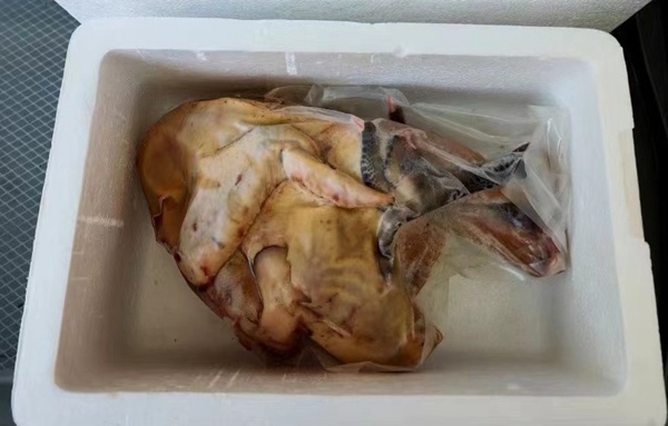 銅梁黑雞。銅梁區供銷合作社供圖