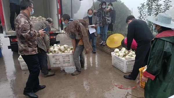 助農銷售農產品。圣燈山鎮供圖