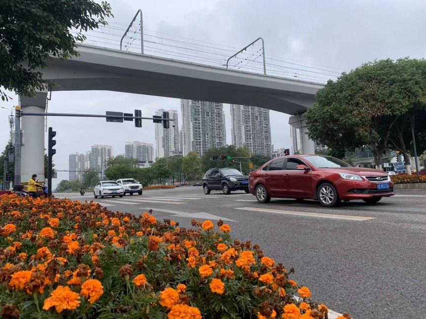 重慶高新區街頭的車輛有序出行。雷鍵攝