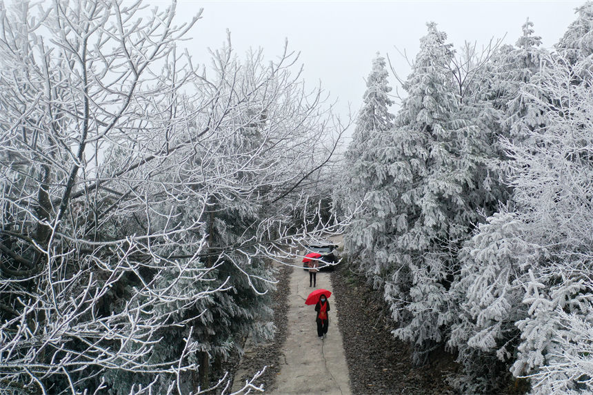 冰晶玉樹宛如仙境的霧凇景觀吸引游人觀賞拍照。楊敏攝