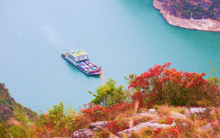 船只航行在紅葉映襯下的長江巫峽水域。盧先慶攝