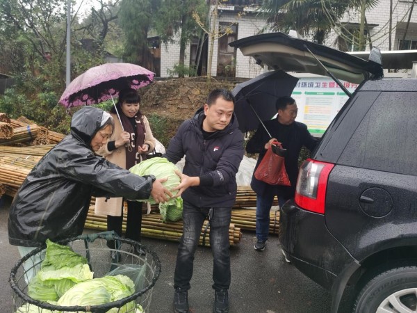 餐飲企業上門收購蔬菜。譚鳳攝