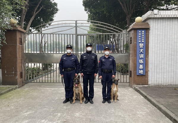 參與搜救的兩只警犬。北碚區公安分局供圖