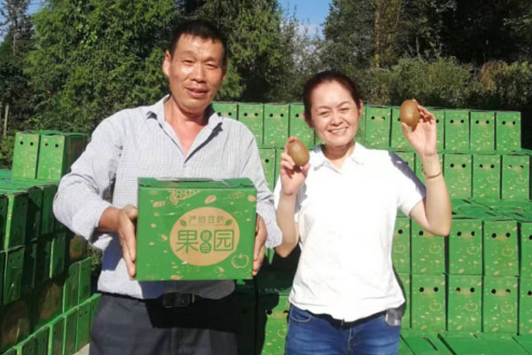 獼猴桃熟了。重慶市第十三人民醫院供圖