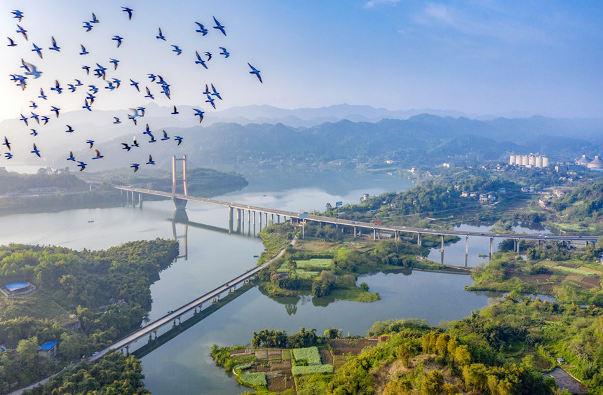 重慶合川三江國家濕地公園。