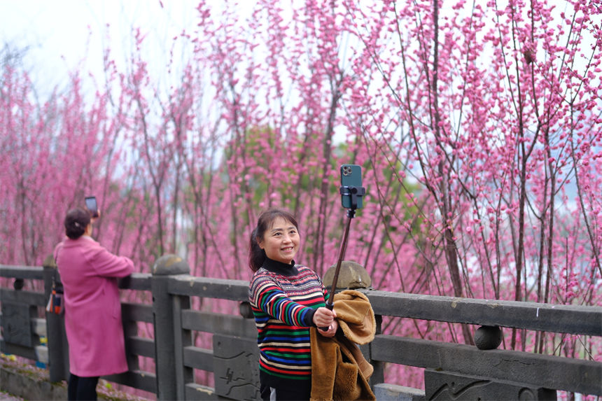 市民打卡留影享受春光。郭旭攝