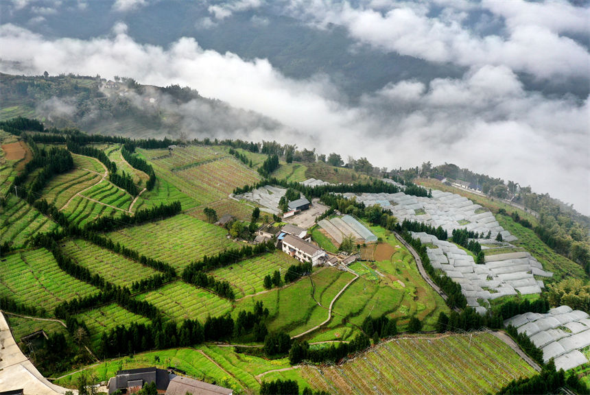 俯瞰重慶萬盛經開區黑山鎮南門村大棚獼猴桃、瓜果基地。曹永龍攝