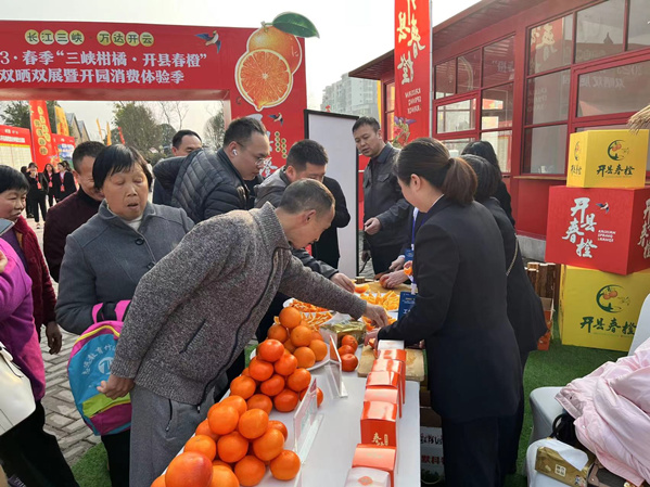 活動現場市民爭相品嘗“開縣春橙”。蔣海濤攝