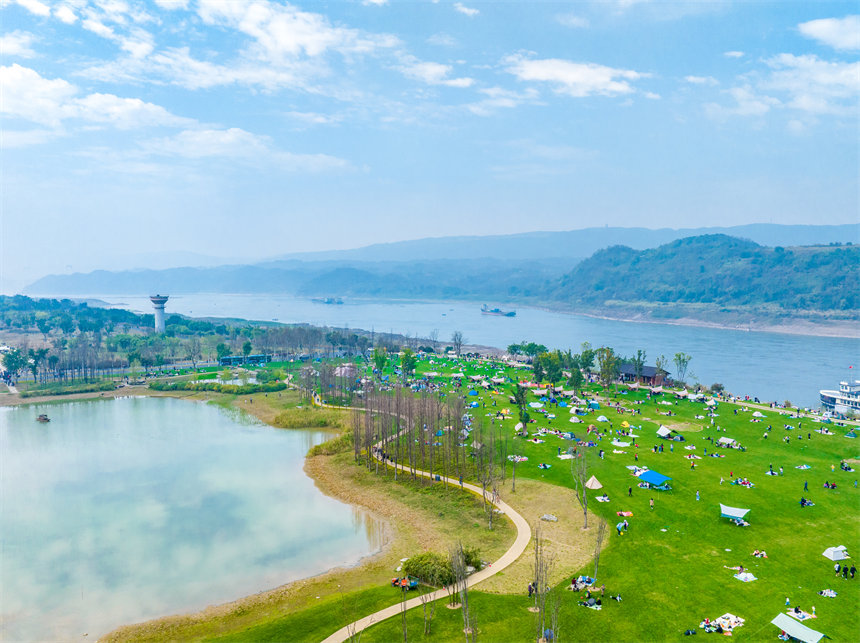 廣陽島草色正青，吸引不少市民露營。郭旭攝