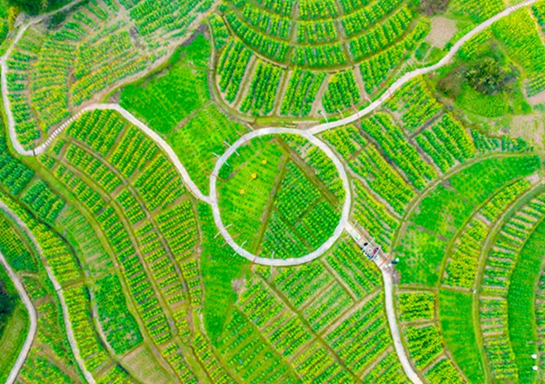 俯瞰云燕花語景區。一品街道供圖