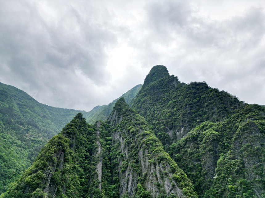 重慶五里坡國家級自然保護區。魯作炳攝