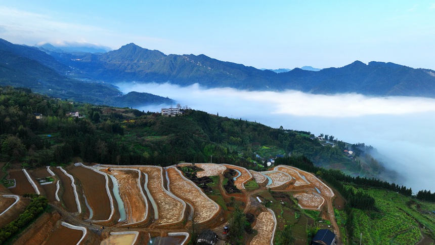 新修復墾的梯田與青山綠野相映成趣。曹永龍攝