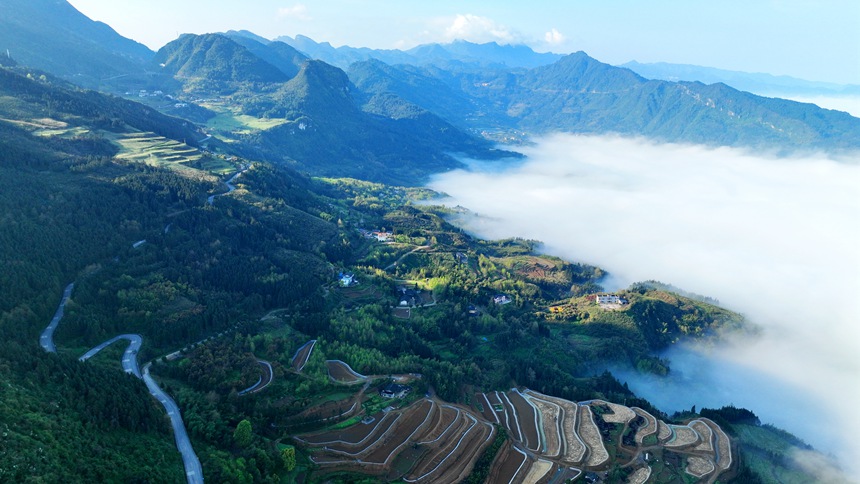 新修復墾的梯田與青山綠野相映成趣。曹永龍攝