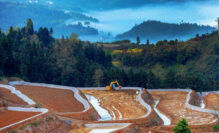 新修復墾的梯田與青山綠野相映成趣。曹永龍攝