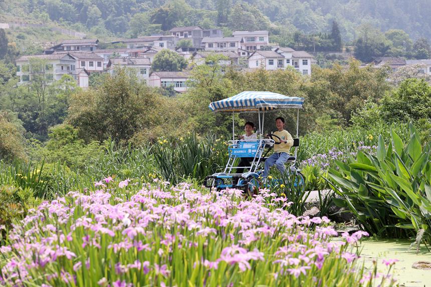 游客在馮家街道寨子社區游玩。楊敏攝