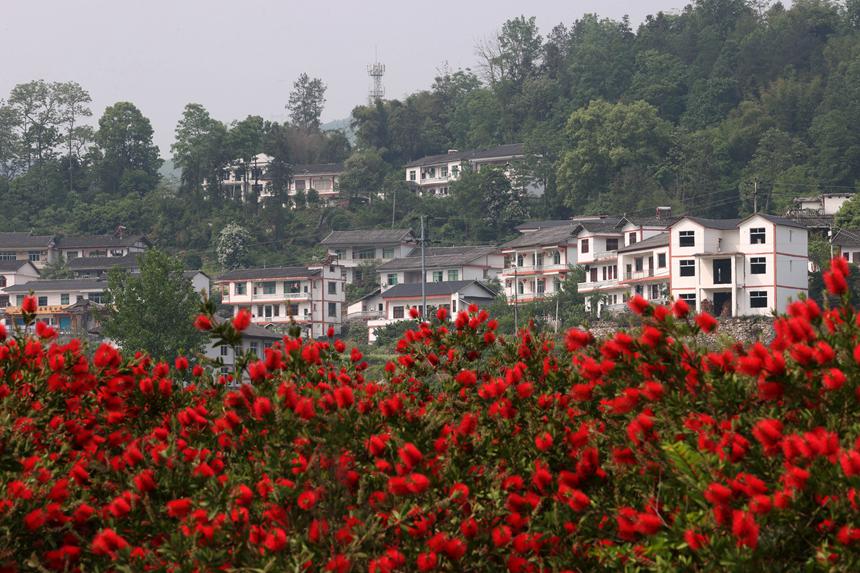 馮家街道寨子社區民居。楊敏攝