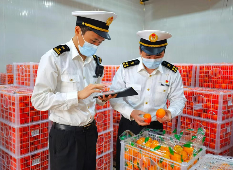 重慶海關與南寧海關共同落實鮮活易腐貨物“6小時通關”要求，保障生鮮商品快速驗放。重慶海關供圖