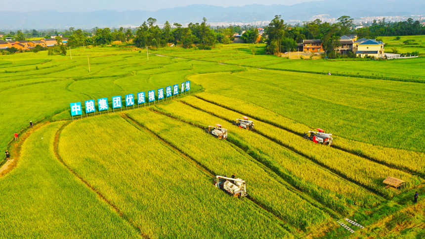 梁平素有“巴蜀糧倉”的美譽。 劉輝攝