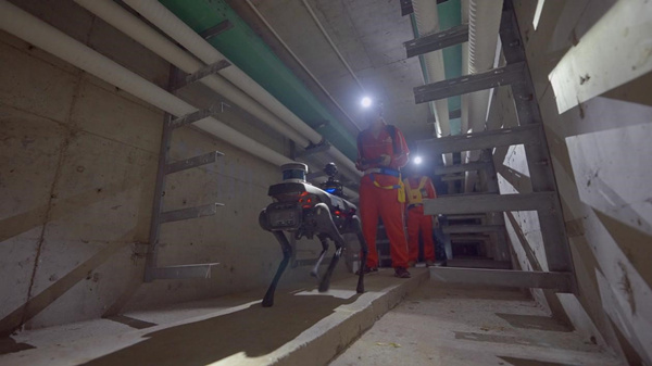 7月17日，國網重慶市電力公司電纜運維人員正遙控機器狗對電纜設備進行特巡監測。李濤攝