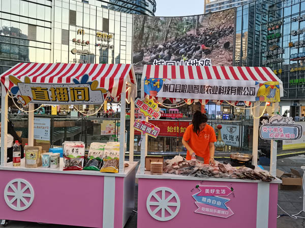 推介會開展線上直播。孫啟凡攝