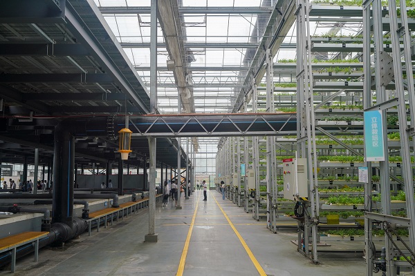 魚菜共生AI工廠。趙國淦攝