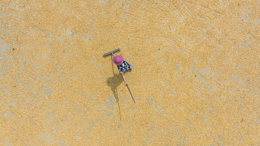 村民正在忙著曬秋。胡程攝