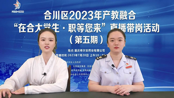 合川區稅務人員通過直播講解高校畢業生創業就業相關稅費優惠政策。胡蝶兒攝