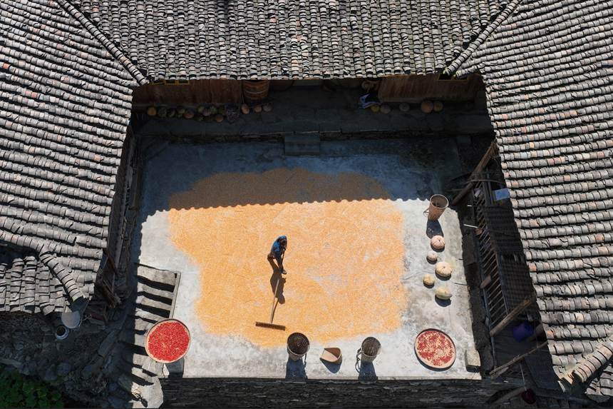 村民正在晾曬玉米。楊敏攝